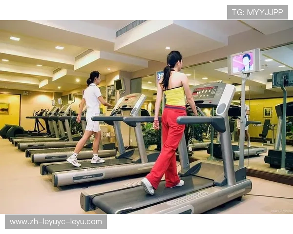 预算党必藏500+张室内健身器材实拍图与选购解析